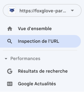 Search Console Inspection de l'URL