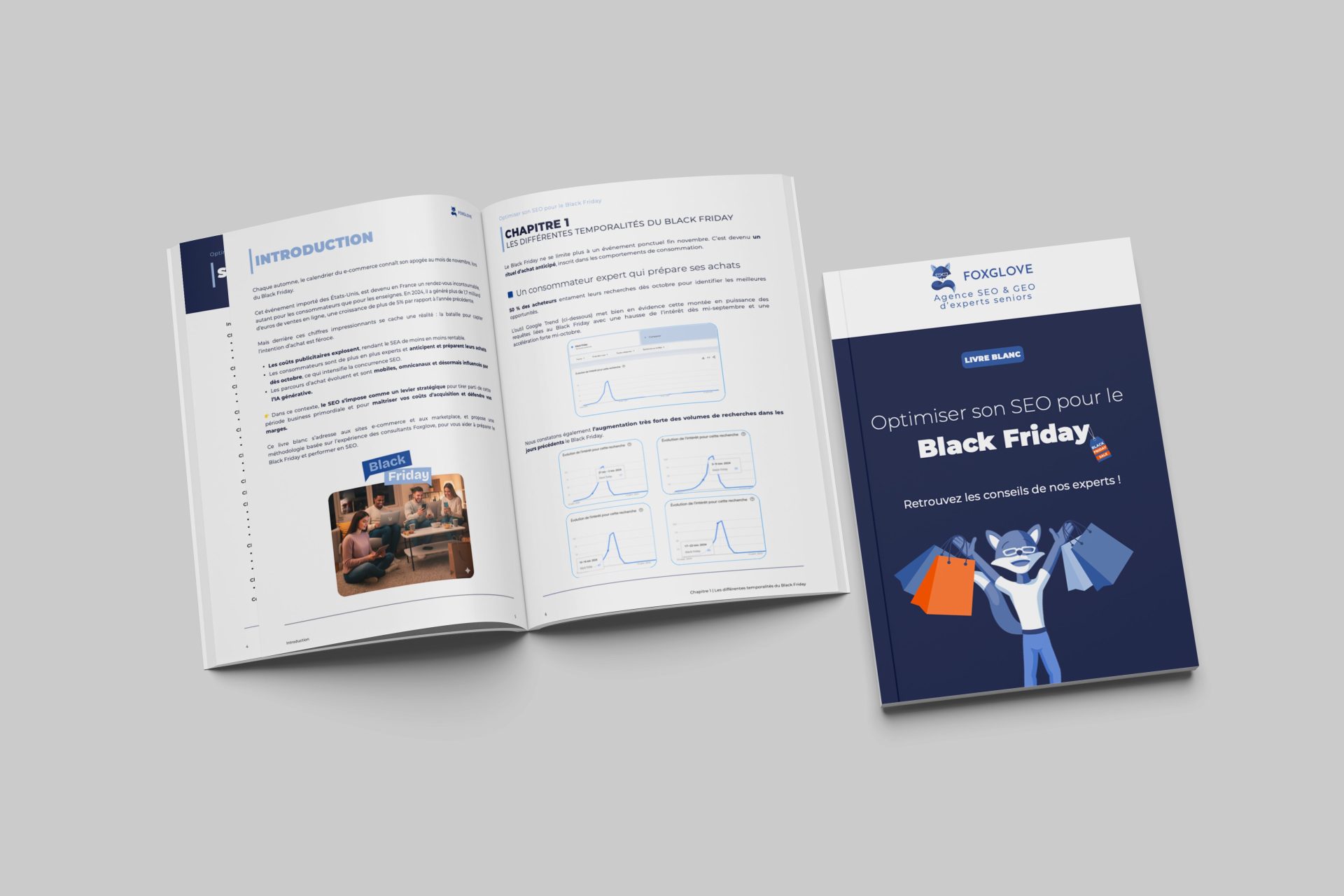 Livre blanc Black friday